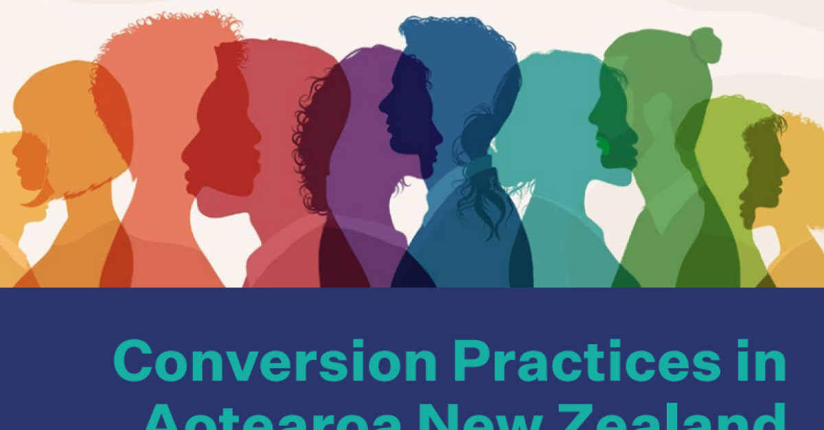 Conversion Practices Insights Report