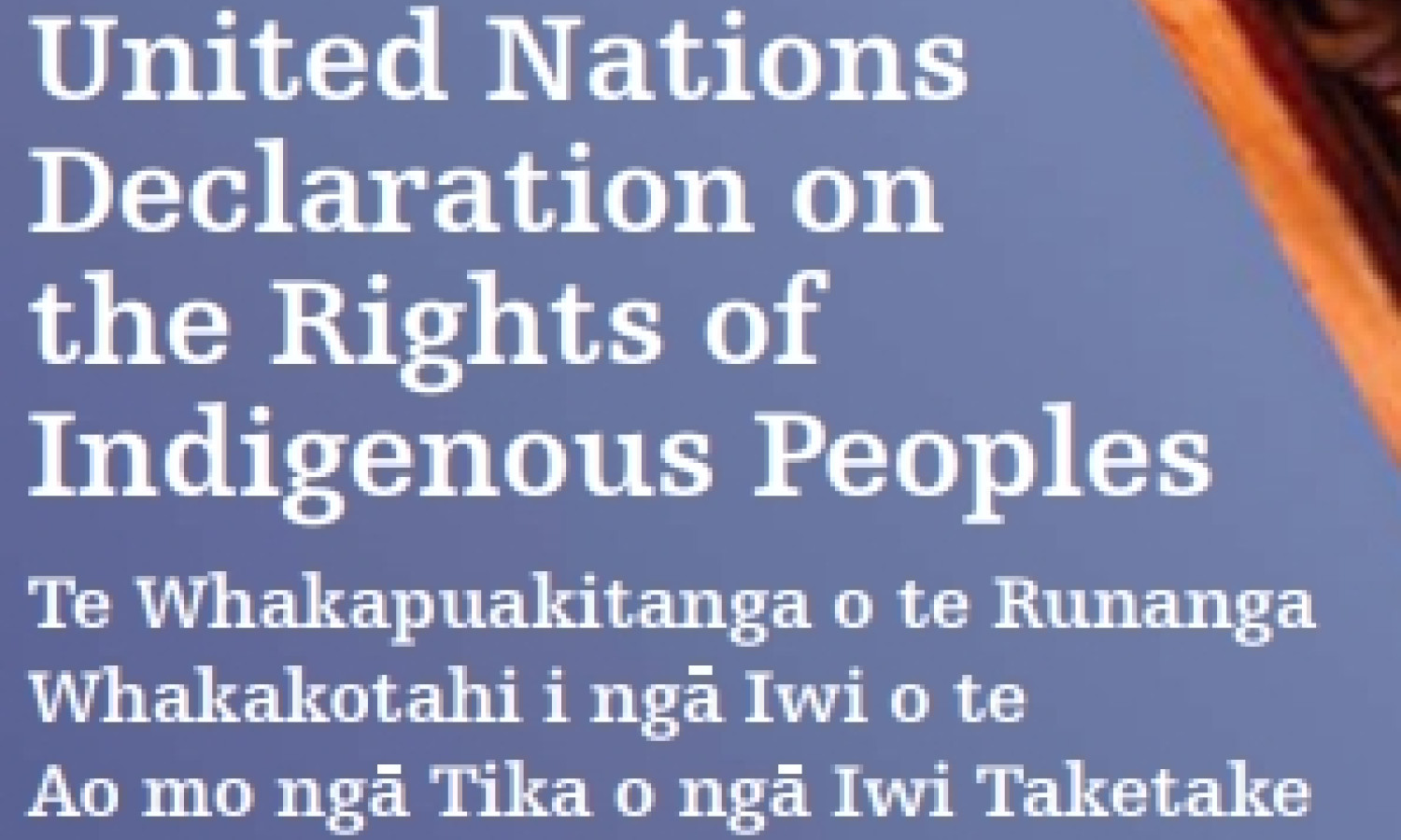 United Nations Declaration on the Rights of Indigenous Peoples
